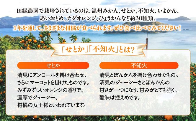 【愛媛県産】田縁農園の無添加100%ジュース 3本セット（720ml×3本/みかん1、せとか1、不知火1） ストレート果汁100％ IKTA007