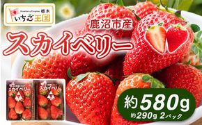 【先行予約】出会いの森いちご園 スカイベリー （290g×2パック） | いちご イチゴ 苺 栃木県 果物 くだもの フルーツ スカイベリー 新鮮 贈答 ギフト デザート スイーツ ※離島への配送不可 ※2026年12月上旬頃から2027年3月下旬頃に順次発送予定