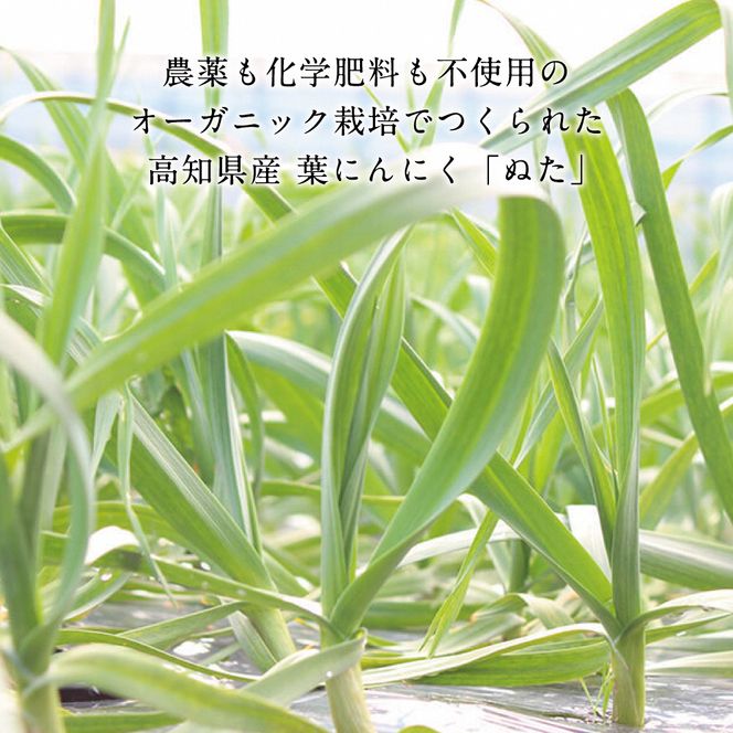 かつおのたたき 高知厳選１本釣り本わら焼き「高知本気シリーズ　極カツオのタタキ（３～４人前）あの有名番組で紹介された有機無添加土佐にんにくぬた、タレ付き」数量限定【株式会社LATERAL】 [BQAU004]
