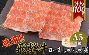 店主こだわり雌牛 飛騨牛A5等級　ロースしゃぶしゃぶ用　約1.1kg [No.084]