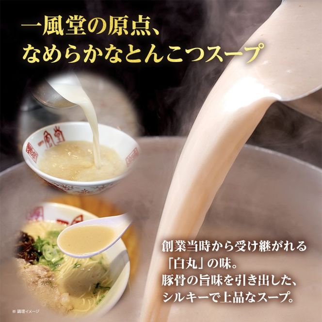 一風堂 白丸 ラー麦麺セット 8食入 豚骨ラーメン ラーメン とんこつ