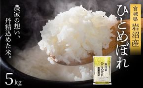【 令和7年産 】無洗米 ひとめぼれ 5kg 岩沼産 白米 東北 宮城県産 宮城米