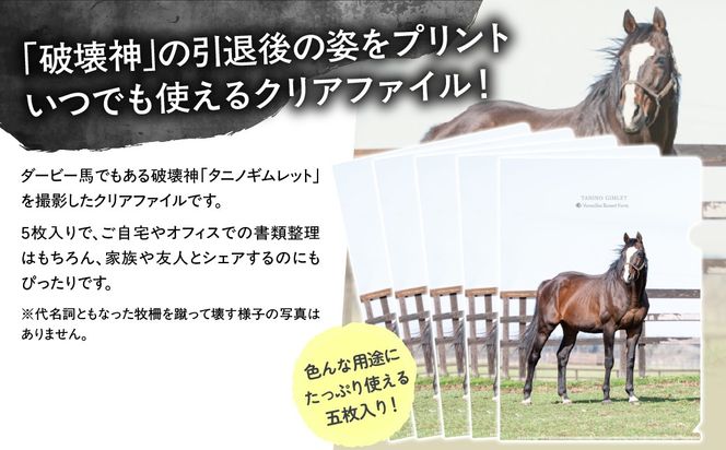 【破壊神タニノギムレット】クリアファイル5枚入り BRTV112