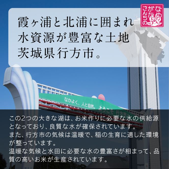 【最短翌日発送】 パックご飯 ミルキークイーン 玄米 甘み豊か もちぷち 160g×18食｜パックご飯 スピード 茨城県 行方市(HE-3)