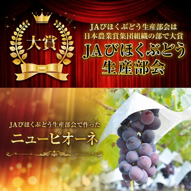 ニュー ピオーネ 約4kg ぶどう 葡萄 フルーツ 岡山 高梁市産 2026年 先行予約 果物類 果物 