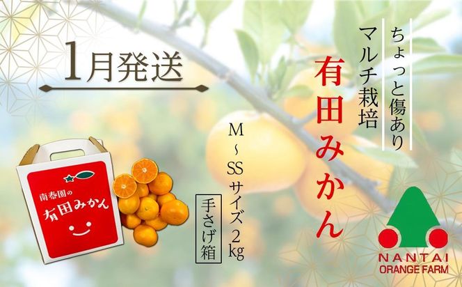 有田川町後継者応援定期便 1月発送 ちょっと傷あり 有田みかん2kg と 2月発送 天然醸造醤油＆特製だしぽん酢 【南泰園・カネイワ醤油】ARD07