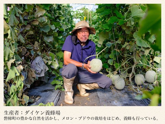 【期間限定】【数量限定】磐梯町産 赤肉メロン 『マリアージュ』 1 玉 5L サイズ　※8月10日以降順次発送