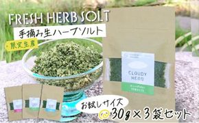 限定生産！手摘み生ハーブソルト お試しパックセット