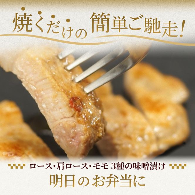 もちぶた 3種 食べ比べ ハンバーグ 140g 唐揚げ 250g  味噌漬け