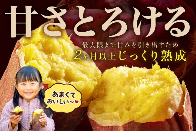 さつまいもオブザイヤー紅はるか部門全国1位 京都・ 丹後産　さつまいも 紅はるか　土付き（1本120〜450g程度）5kg　TF00054