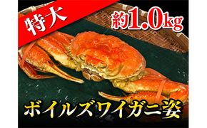 特大ボイルズワイガニ姿　約1.0kg ずわい蟹 ずわいガニ 蟹 カニ 