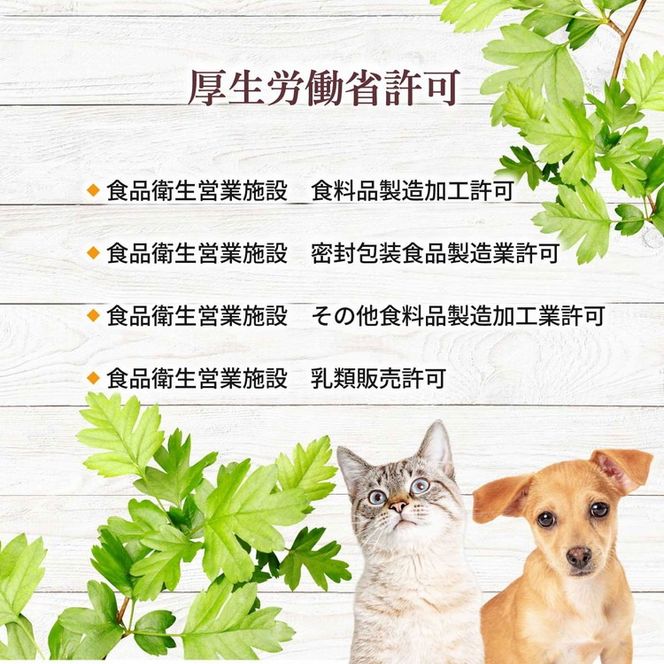 ymlzyYizM~N 50g×1܁imM_Yj |  L Y F pE_[ ւ̔zs