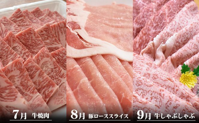 香川県産　オリーブ牛、豚　500ｇ　定期便（7月～12月） 牛肉 お肉 豚肉 毎月届く 半年 6回お届け すき焼き ロース しゃぶしゃぶ 焼肉 スライス 切り落とし 