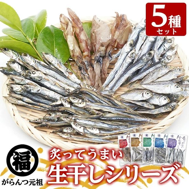 鹿児島県阿久根市産！生干しシリーズ(5種)国産 生干し おつまみ おかず 魚介 魚貝 海産物 干物 ひもの【マルフク川畑水産】akn029-03