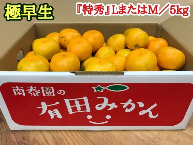 極早生・有田みかん 約5kg『特秀』(LまたはMサイズ)_ZF6012n