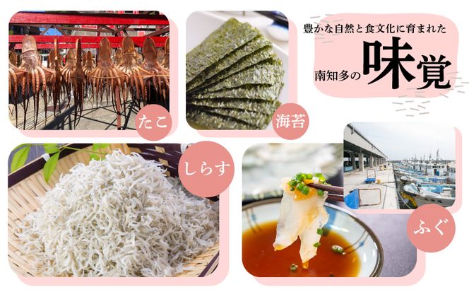しらす干し 約200g（100g×2パック） 南知多篠島産 大一商店 冷凍 小分けパック 愛知県 南知多町