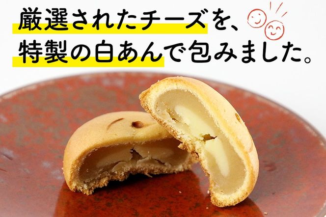 ル・デセール（10個入）とチーズ饅頭『笑内』（9個入）チョコレート チョコ ケーキ まんじゅう お菓子 半生 お茶菓子|banb-00001