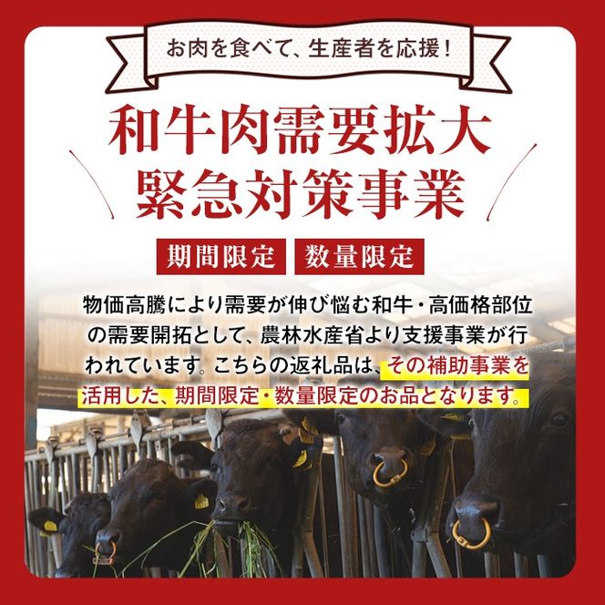 【2月末迄】【数量限定・緊急対策事業】最高級のA5等級！鹿児島県産黒毛和牛サーロインステーキ (スティック)(計500g/250g×2P) a8-075