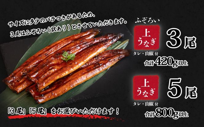 うなぎ 国産 蒲焼 タレ・山椒付き 特上2尾 570g以上 / 3尾 420g以上  / 5尾 800g以上 父の日 お中元 お歳暮