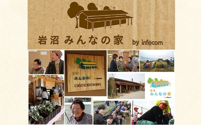 宮城県 岩沼産 産地直送 朝どれ 新鮮野菜 4～5種類 詰め合わせセット