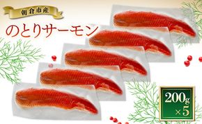 サーモン 朝倉市産 のとりサーモン 200g×5 魚 冷凍 ※配送不可:離島