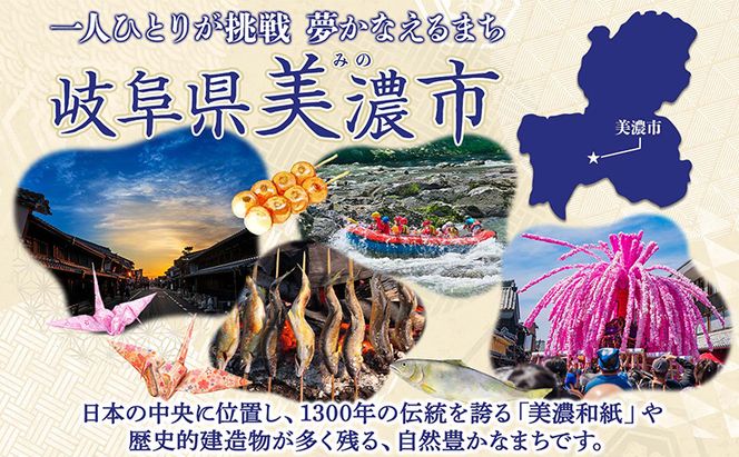 定期便 3ヶ月毎 3回お届け 水に流せる BOXティッシュ 50箱 ティッシュ ティッシュペーパー 箱ティッシュ 紙製品 日用品 消耗品 生活必需品 衛生用品 非常用 備蓄 ストック まとめ買い 防災 国産 日本製 送料無料 川一製紙 岐阜県 美濃市