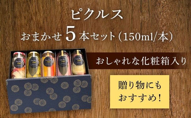 お任せピクルス５本セット化粧箱入り《築上町》【ERBA FARM733】 [ABAP006] 19000円[ABAP006]