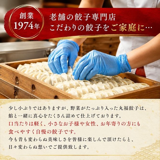 丸福餃子　4種詰め合わせ 夕飯 晩御飯 惣菜 つまみ おかず お酒のお供 冷凍餃子 冷凍 冷凍惣菜 