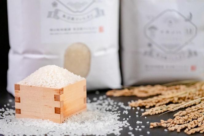 ＜定期便・全6回＞【令和7年産】魚沼産コシヒカリ「イネノハ 」精米(3kg×3)×6回 お米 白米 ご飯 産地直送 ミネラル 栄養分 こだわり 人気 新鮮 