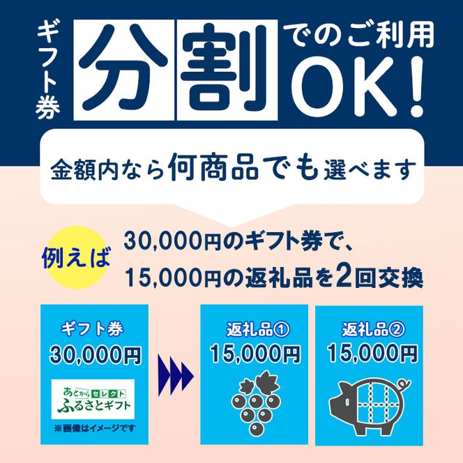 あとからセレクト 【ふるさとギフト】 寄附30万円相当 300,000円  牛タン 白金豚 ヨーグルト 米 野菜 ワイン 岩手県 花巻市 いわて花巻の恵み 【2316-030】