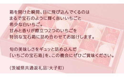 【 お歳暮 熨斗付き 】 赤いちご と 白いちご の宝石箱18粒 (茨城県共通返礼品：大子町) いちご 苺 果物 フルーツ 果実 贈答用 ギフト 贈り物