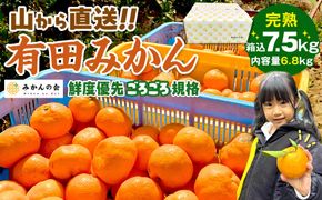 みかん 山から直送 箱込 7.5kg ( 内容量約 6.8kg ) 鮮度優先ごろごろ規格 和歌山県産 産地直送 家庭用［2025年11月中旬より2026年1月中旬頃順次出荷予定］［みかんの会］ 	AX216
