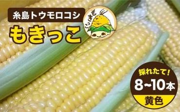 【先行予約：2025年6月下旬以降順次発送】糸島 トウモロコシ 『もきっこ』 黄 （10本前後 ） 《糸島》 【内田農業】 [AZH001]