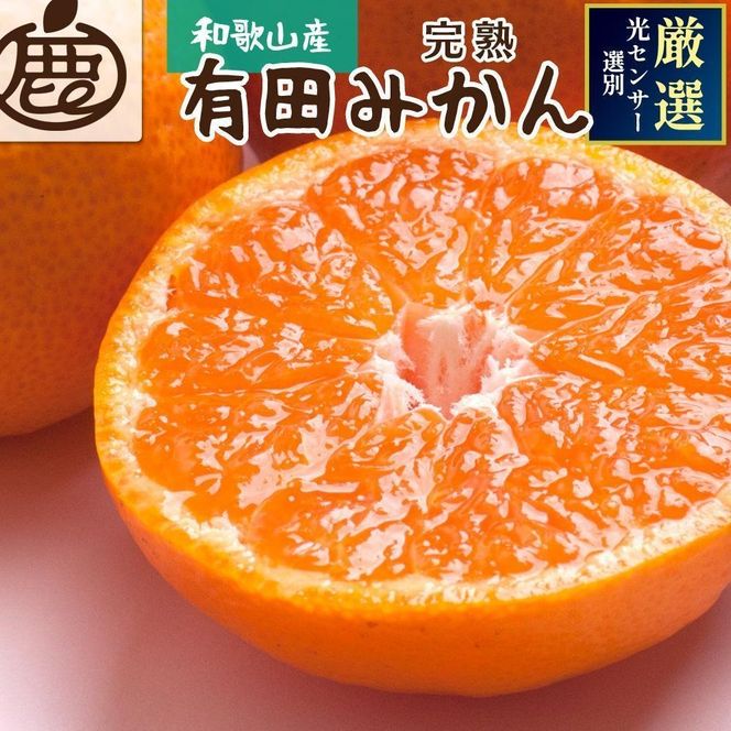［先行予約］プレミアム 有田みかん（完熟）10kg+250g（傷み補償分）CZ158