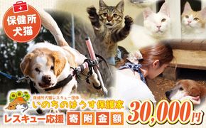 保健所犬猫レスキュー【返礼品なしのご寄附】犬 猫 保護 レスキュー 動物愛護 返礼品なし ペット 保護犬 保護猫 支援 応援 ボランティア_kn101-003