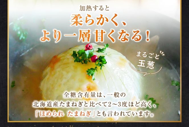  【予約：2026年9月下旬から順次発送】幻の北見黄 北海道北見産 10kg ( 野菜 たまねぎ 玉ねぎ タマネギ Lサイズ 10キロ 詰合せ )【002-0004-2026】