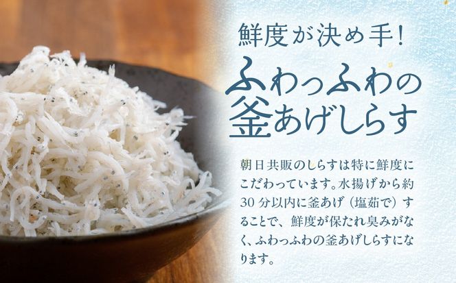 【佐田岬の味を網羅】佐田岬特選セット IKTB020 