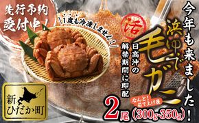 ＜ 2027年2月上旬より発送開始 ＞ 北海道産 浜ゆで 毛ガニ 2尾 計 600g 以上 冷蔵 毛蟹 毛がに けがに かに 蟹 カニ かに味噌 カニ味噌 ＜ 予約受付 ＞