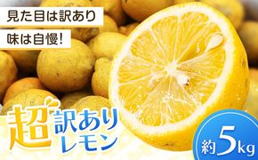 レモン 超訳ありレモン 約5kg 《2月上旬-5月末頃出荷》 和歌山県 日高川町 れもん 檸檬 柑橘 訳あり 果物 くだもの フルーツ 青果物---wshg_dsk97_2j5m_26_7000_5---