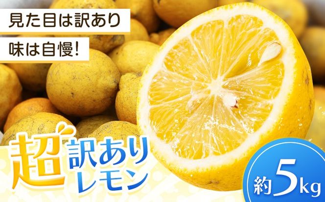 レモン 超訳ありレモン 約5kg 《2月上旬-5月末頃出荷》 和歌山県 日高川町 れもん 檸檬 柑橘 訳あり 果物 くだもの フルーツ 青果物---wshg_dsk97_2j5m_26_7000_5---