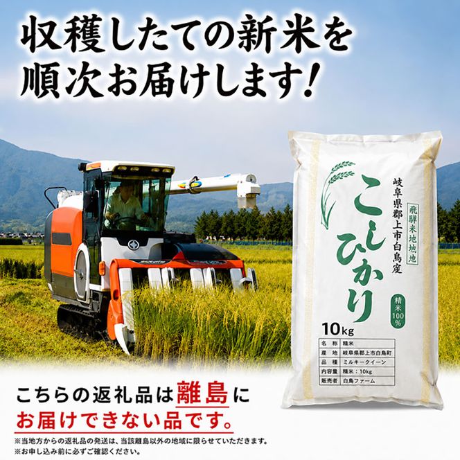 【令和7年産】特別栽培米 20kg【白米、7分ツキ】（コシヒカリ）