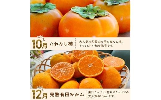 わかやま 旬の フルーツ 定期便 【L】全4回 / 有田みかん まりひめ いちご 桃 柿 ※北海道・沖縄・離島への配送不可【ard-tkb911】