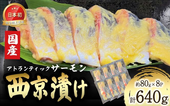 小山町産アトランティックサーモン追い麹西京漬け　8切（その他）