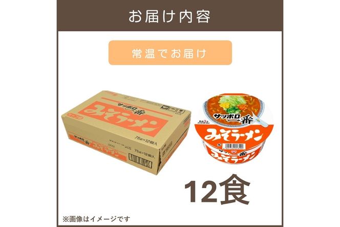 【A2-164】サッポロ一番みそラーメンどんぶり12食