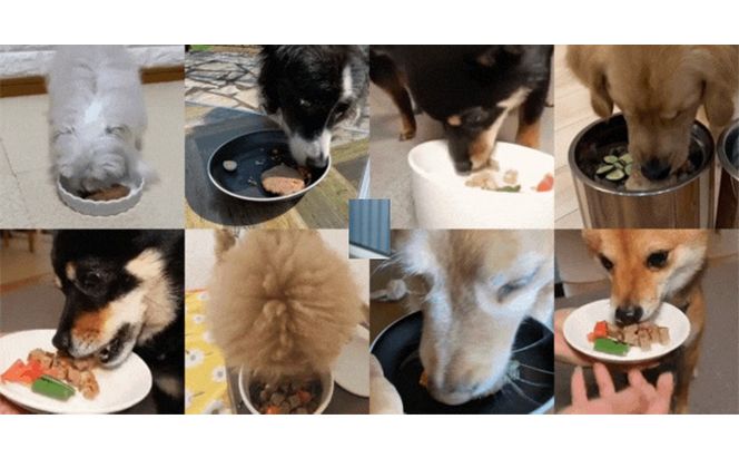 鹿肉ドッグフード　鹿肉ハンバーグ（犬用）　10個（約50g×10個） 加工食品 お肉 家族 健康 食事 大切 ペット 自然 新鮮 動物 高品質 安心 安全 国産 子犬 老犬 栄養 小分け 
