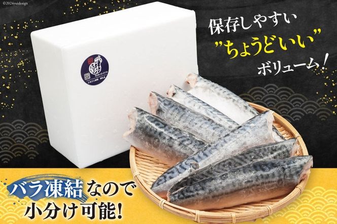 サバ フィレ 切り身 1kg 無添加 鯖 さば [かわむら家 宮城県 気仙沼市 20564569] 魚 魚介類 魚介 切り身 冷凍 便利 弁当 おかず 惣菜