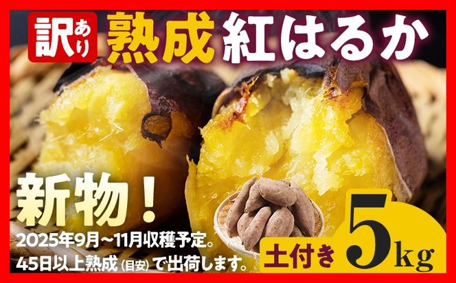 先行予約 訳あり 紅はるか 熟成 紅はるか 5kg さつまいも 4000円 芋 サツマイモ 土付き サイズ色々 サイズ不揃い 九州産 焼き芋 やきいも 甘い デザート スイートポテト 生芋 おやつ デザート 野菜 いも