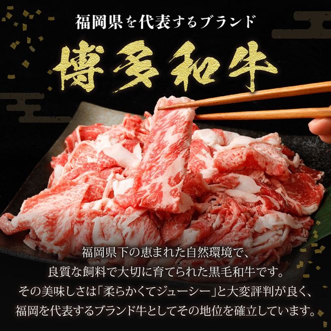 博多和牛切り落とし1.0kg(200g×5パック）【伊豆丸商店】_HA1511