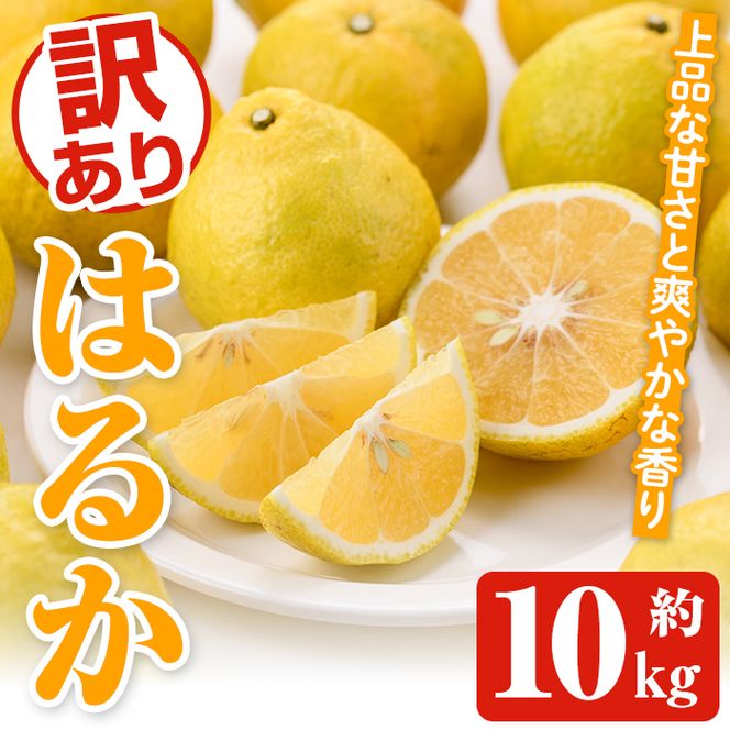 ＜先行予約受付中！2027年2月上旬以降順次発送予定＞訳ありはるか(約10kg) 国産 鹿児島県産 果物 フルーツ 柑橘 みかん はるか【松永青果】akn053-45