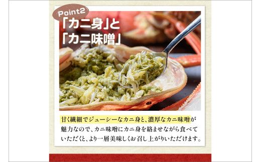 【蟹の匠 魚政】京丹後市産 未冷凍 茹で間人ガニ大善ガニ 特撰 特大サイズ（1200～1300g） 2匹（1月～3月発送）　UO01403